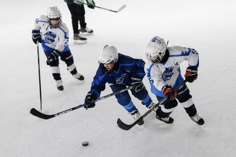 каток, хоккеисты