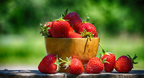 Клубнике после схода снега - самым первым делом: Ягод будет - валом, вредителей - ни 1