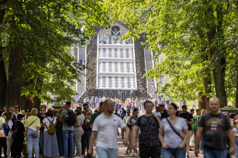 Петергоф внедряет чат-боты: отзывы и архивы под контролем ИИ