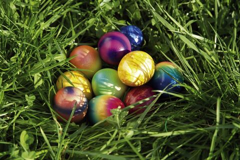 Яйца цвета радуги на Пасху: скорлупа сияет ярче солнца — оригинальный способ окрашивания