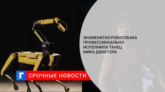 Знаменитая робособака профессионально исполнила танец Мика Джаггера