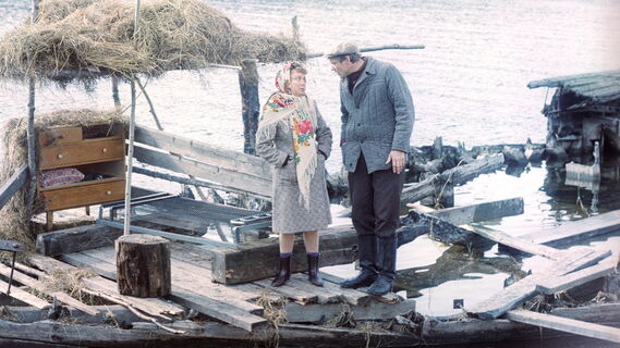 Кадр из фильма "Любовь и голуби", 1985г.