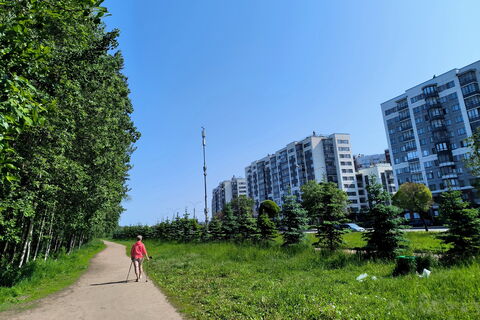 От Павловска до Шушар: в Петербурге благоустроят 62 общественных пространства