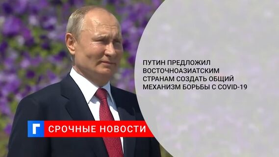 Путин предложил восточноазиатским странам создать общий механизм борьбы с COVID-19