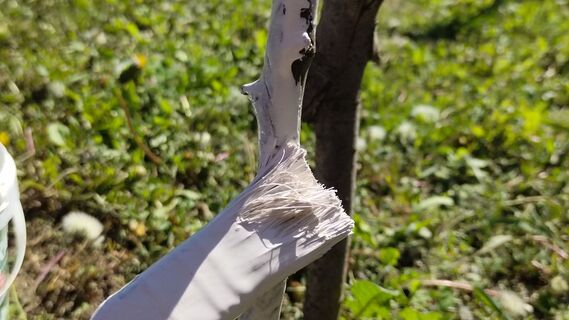 Городовой ру