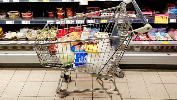 Возвращение карточек: Госдуме предложили внести поправки в закон о соцпомощи