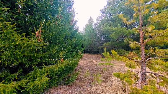 Время для семьи и красоты: как провести 21 апреля (5-й лунный день) с максимальной пользой 