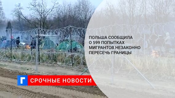 Польша сообщила о 599 попытках мигрантов незаконно пересечь границы