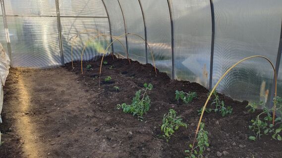 Городовой ру