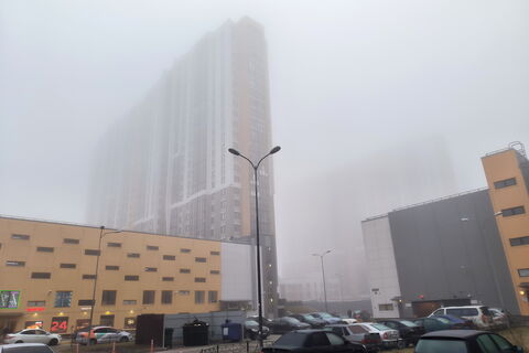 Туман-ловушка в Петербурге: МЧС предупреждает о смоге и пробках 2–3 апреля