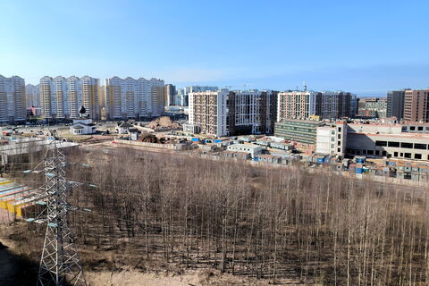 90 лет лидерства: как Приморский район меняет лицо Северной столицы