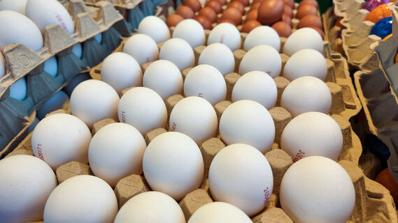 Работники птицефабрик никогда не покупают яйца категории СО – на это есть веская причина: вот в чем подвох 