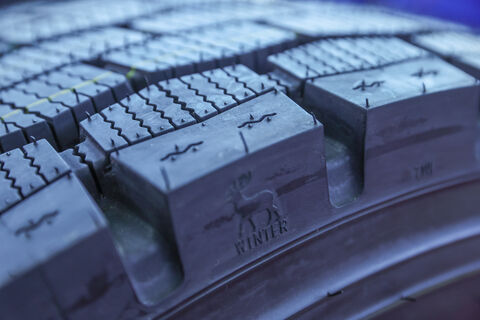 «До 10 ноября»: Колесов обратился к водителям Петербурга с призывом срочно сменить резину