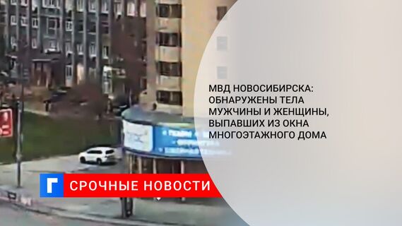 МВД Новосибирска: обнаружены тела мужчины и женщины, выпавших из окна многоэтажного дома