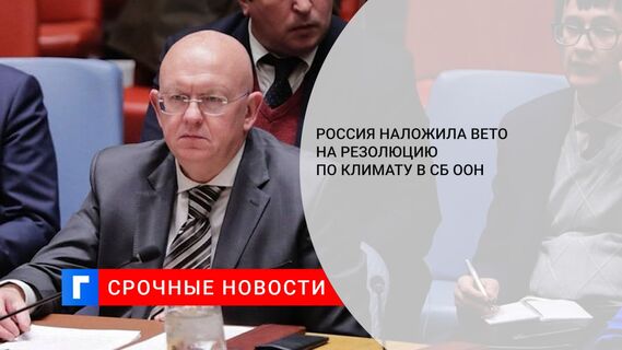 Россия наложила вето на резолюцию по климату в СБ ООН