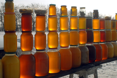 Мед, сало, консервы: скрытая угроза нервной системе петербуржцев