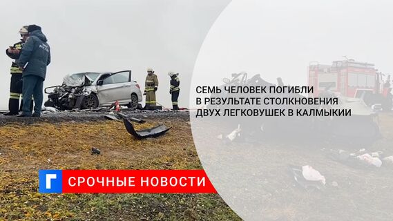 Семь человек погибли в результате столкновения двух легковушек в Калмыкии