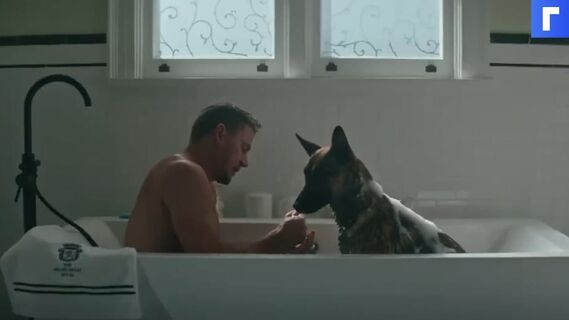 Вышел трейлер комедии «Собака» с Ченнингом Татумом
