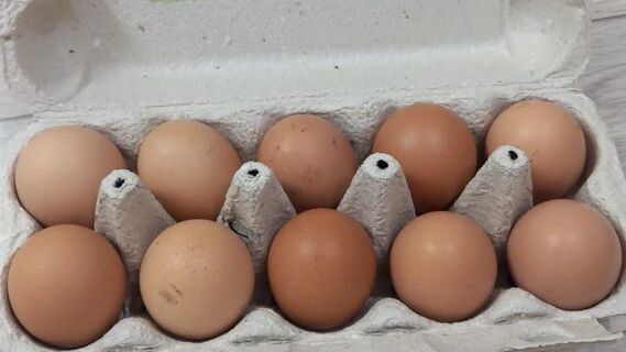 Городовой ру