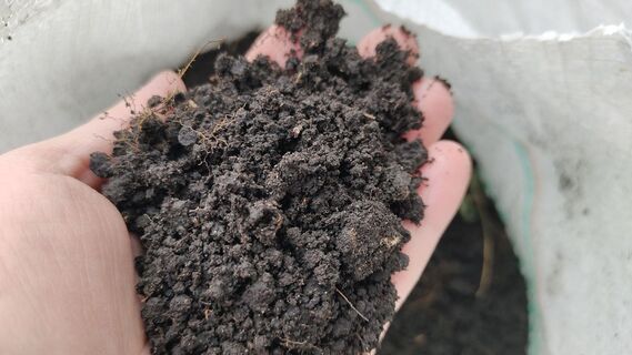 Три ложки «закваски» - перегниют даже кости и ветки: как сделать идеальный компост за 3 месяца