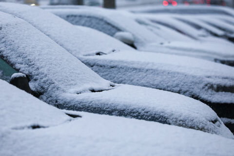 Петербург избавит водителей от зимних штрафов: газоны покажут в навигаторах
