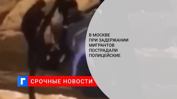 В Москве при задержании пьяных мигрантов пострадали полицейские, у одного отобрали дубинку