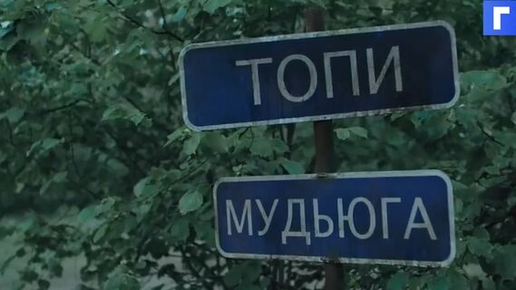 28 января на Кинопоиск HD выйдет триллер «Топи» по сценарию Дмитрия Глуховского