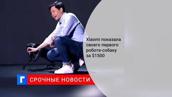 Компания Xiaomi представила собственного робота-собаку CyberDog стоимостью $1500