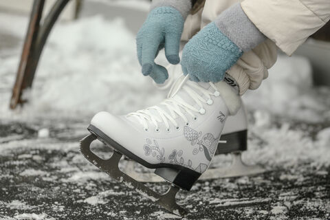 Ледовый дворец