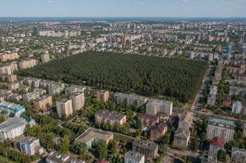 Город-миллионник, в центре которого находится реликтовый сосновый бор - возник миллионы лет назад: в РФ таких мест больше нет