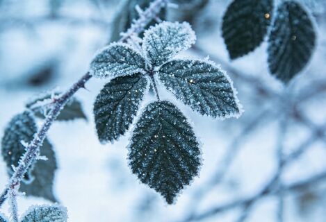 В каких регионах РФ ожидаются заморозки на майских праздниках - коснется не только Урала: убирать теплые вещи еще рано