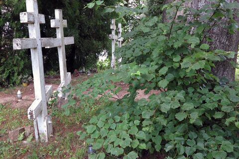 Кладбище староверов и колдунов: самое мистическое место Петербурга — даже местные обходят стороной