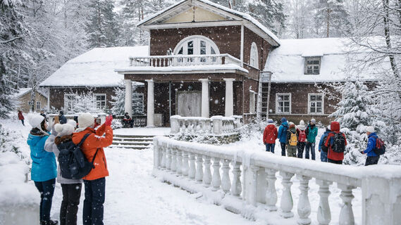 Зимняя сказка