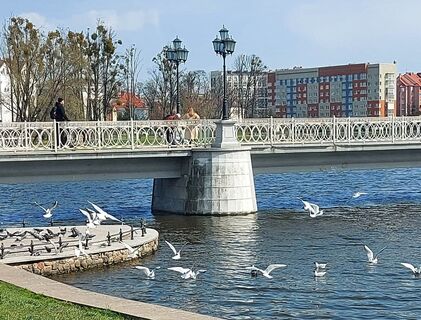 Городовой ру