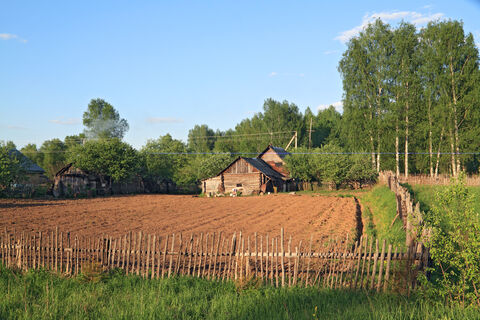 дача, Петербург