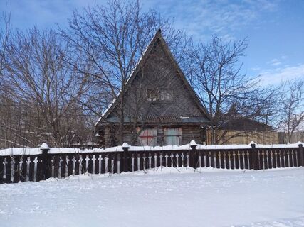 Не только для красоты: зачем в деревенских домах каждую весну красят полы - 5 причин повторить