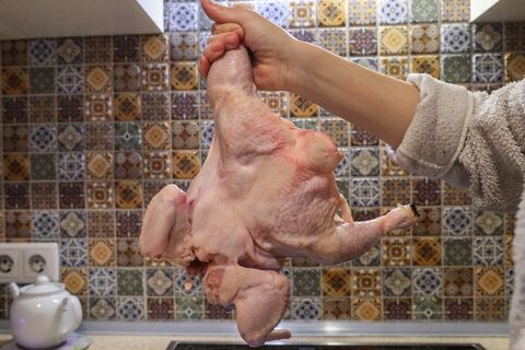 кура, курица