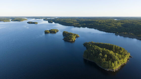 Почему Ладожское озеро является пресным, а Каспийское - соленым: ответят немногие