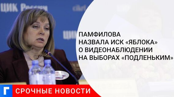 Памфилова назвала иск «Яблока» о видеонаблюдении на выборах «подленьким»