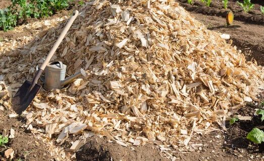 Как верно использовать опилки на даче в марте: Почва будет нежнее утиного перышка