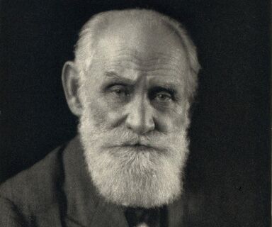 Научный город 1500 года во Всеволожском районе: есть свой Биг-Бен — место, где природа, история и наука сплелись воедино