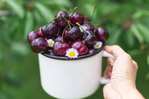 Городовой ру