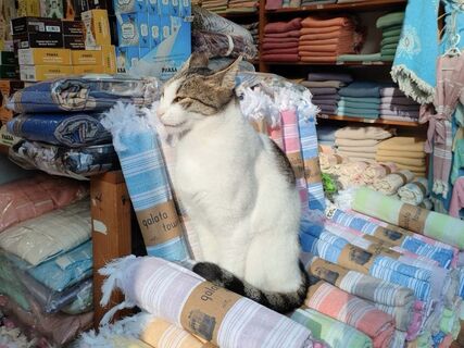 Городовой ру