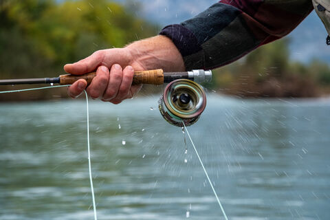 Когда ловить карася – утром, днем, вечером или ночью: запомните это раз и навсегда