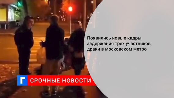 Появились новые кадры задержания трех участников драки в московском метро