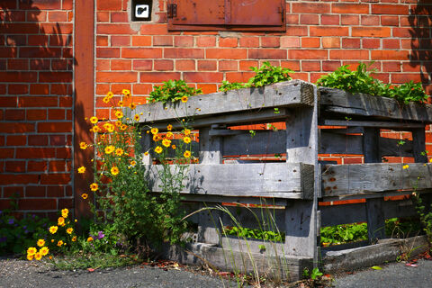 Мини-огород на колесах – функциональность и эстетика: можно перемещать куда угодно – и поставить под солнце, и спрятать от дождя