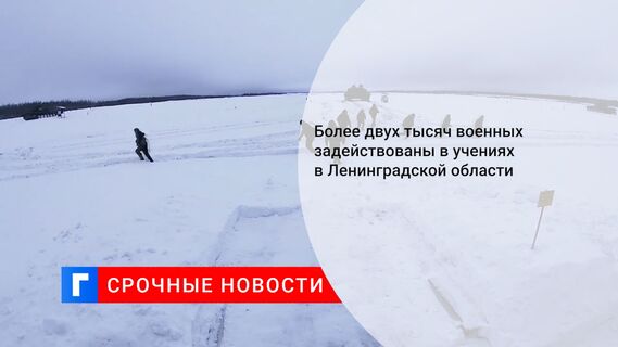 Более двух тысяч военных задействованы в учениях в Ленинградской области