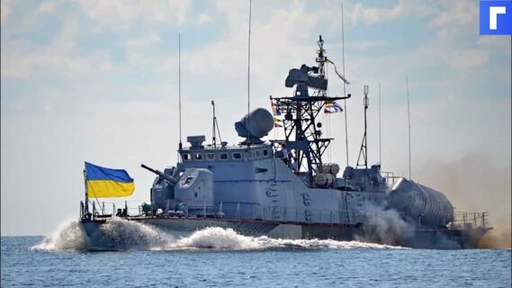 Корабль ВМФ РФ заставил отступить украинский катер с американскими журналистами