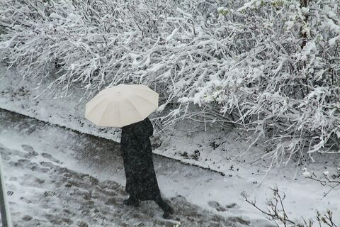 Налипание мокрого снега и колючий ветер: апрель в Петербурге и Москве решил напоследок «хлопнуть дверью»