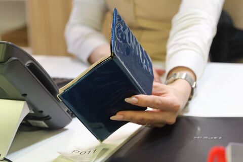 Из Египта с любовью: нелегал с женой и ребёнком жил в Петербурге без паспорта